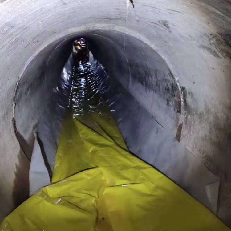 蒋湖农场管道光固化修复