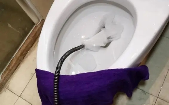 蒋湖农场马桶疏通